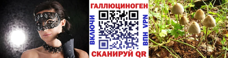маркетплейс какой сайт  Орлов  Псилоцибиновые грибы MAGIC MUSHROOMS 
